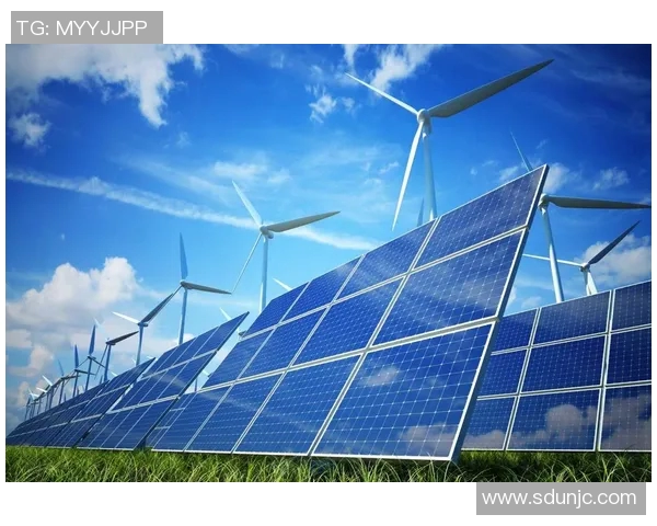 体育培训概念股崛起背后的投资机遇与市场前景分析